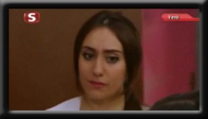 alcay-sarıdoğan